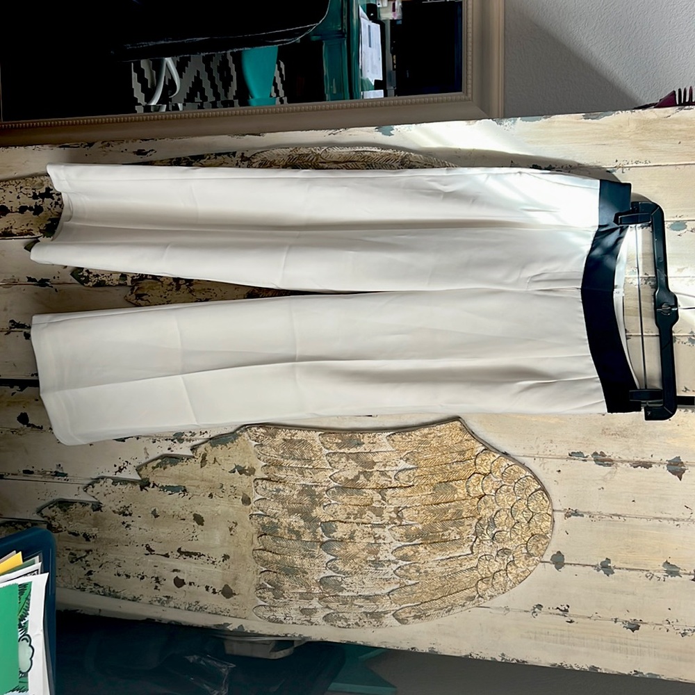 Express dress pants